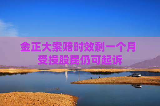 金正大索赔时效剩一个月 受损股民仍可起诉