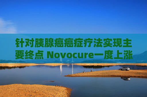 针对胰腺癌癌症疗法实现主要终点 Novocure一度上涨约42%