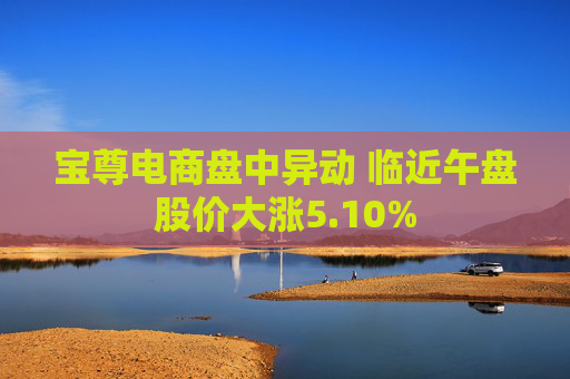 宝尊电商盘中异动 临近午盘股价大涨5.10%