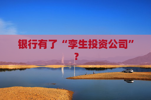 银行有了“孪生投资公司”？
