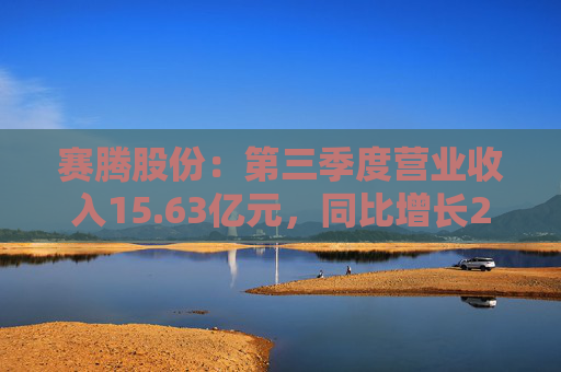 赛腾股份：第三季度营业收入15.63亿元，同比增长28.15%