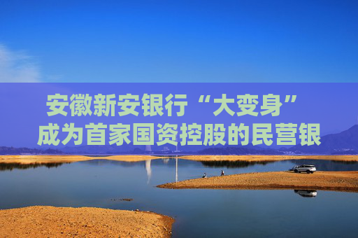 安徽新安银行“大变身” 成为首家国资控股的民营银行
