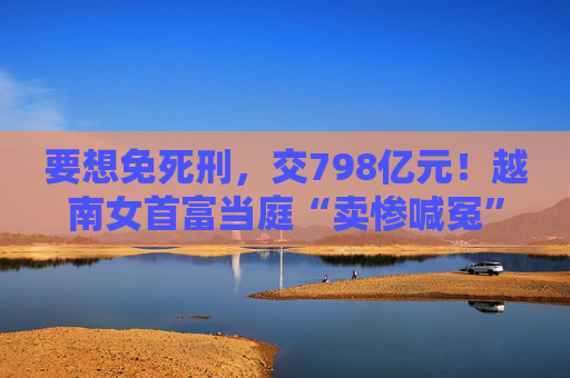 要想免死刑，交798亿元！越南女首富当庭“卖惨喊冤”：只想尽快把财富交给国家