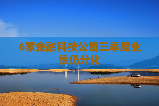 6家金融科技公司三季度业绩仍分化