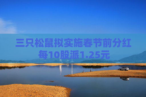 三只松鼠拟实施春节前分红 每10股派1.25元