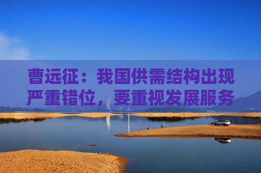 曹远征：我国供需结构出现严重错位，要重视发展服务型消费
