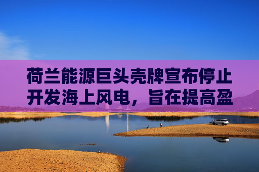 荷兰能源巨头壳牌宣布停止开发海上风电，旨在提高盈利