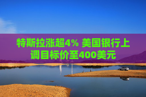 特斯拉涨超4% 美国银行上调目标价至400美元