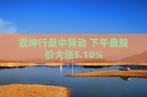 震坤行盘中异动 下午盘股价大涨5.10%