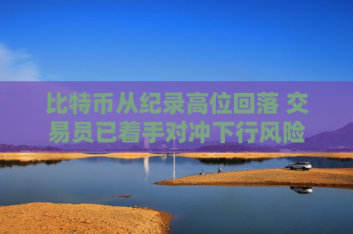 比特币从纪录高位回落 交易员已着手对冲下行风险
