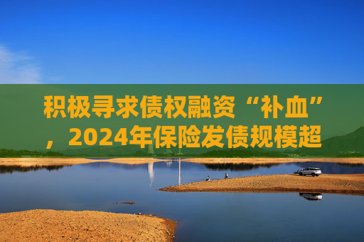 积极寻求债权融资“补血”，2024年保险发债规模超千亿元