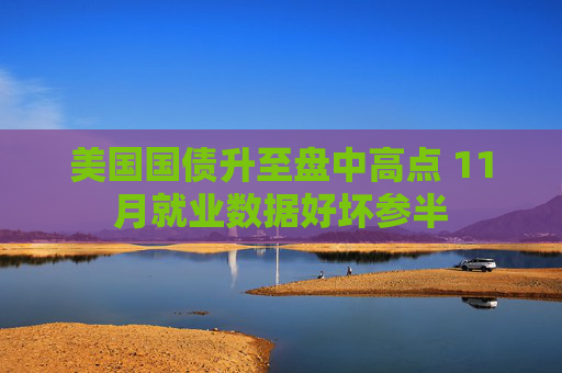 美国国债升至盘中高点 11月就业数据好坏参半
