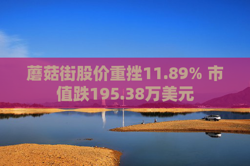 蘑菇街股价重挫11.89% 市值跌195.38万美元