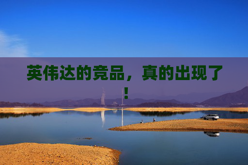 英伟达的竞品，真的出现了！