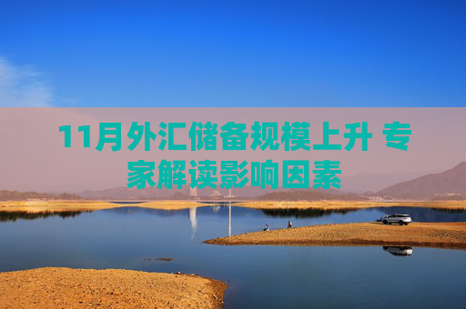 11月外汇储备规模上升 专家解读影响因素