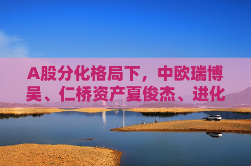 A股分化格局下，中欧瑞博吴、仁桥资产夏俊杰、进化论资产王一平三大百亿私募发声！坚持牛市思维和牛市仓位