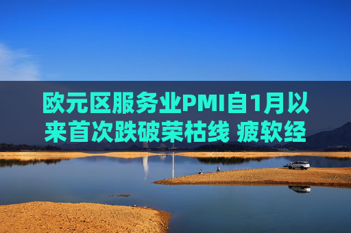 欧元区服务业PMI自1月以来首次跌破荣枯线 疲软经济雪上加霜