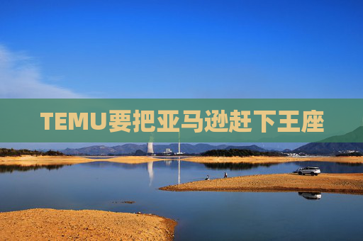 TEMU要把亚马逊赶下王座