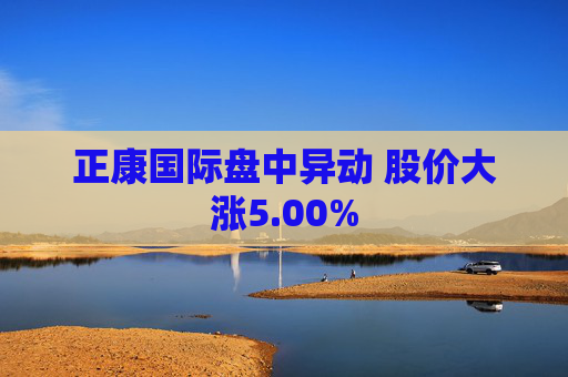正康国际盘中异动 股价大涨5.00%