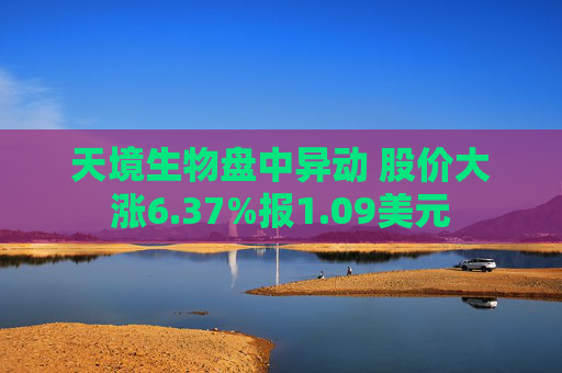 天境生物盘中异动 股价大涨6.37%报1.09美元
