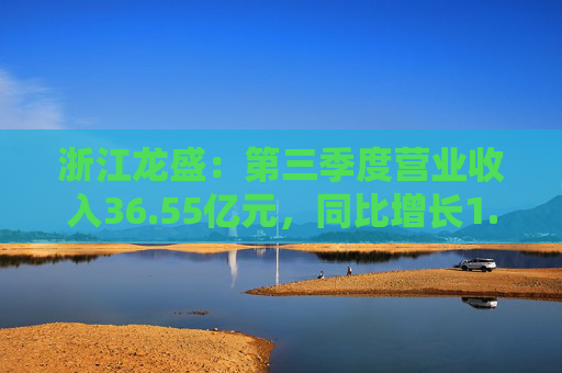 浙江龙盛：第三季度营业收入36.55亿元，同比增长1.23%