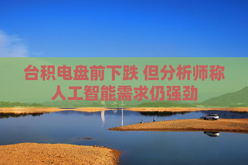 台积电盘前下跌 但分析师称人工智能需求仍强劲