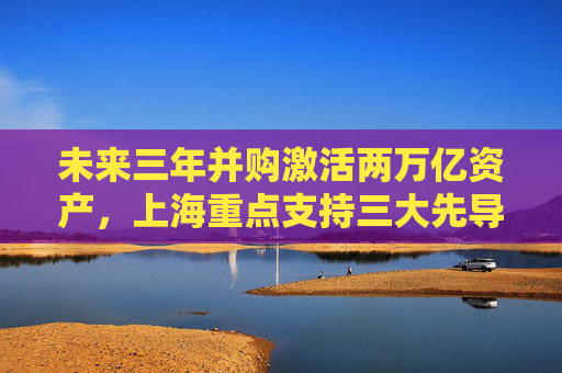 未来三年并购激活两万亿资产，上海重点支持三大先导产业