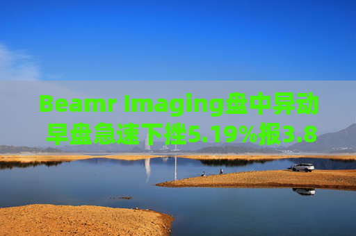Beamr Imaging盘中异动 早盘急速下挫5.19%报3.84美元