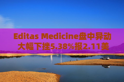 Editas Medicine盘中异动 大幅下挫5.38%报2.11美元