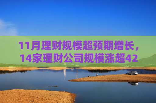 11月理财规模超预期增长，14家理财公司规模涨超4200亿元