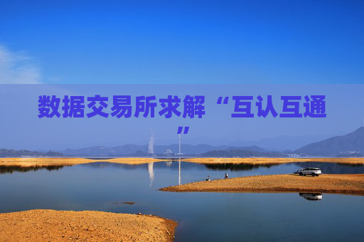 数据交易所求解“互认互通”