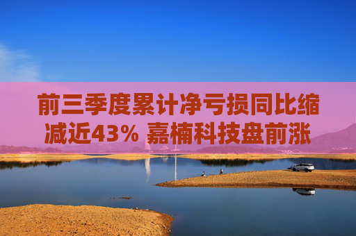 前三季度累计净亏损同比缩减近43% 嘉楠科技盘前涨逾7%