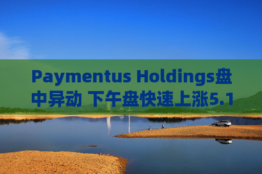 Paymentus Holdings盘中异动 下午盘快速上涨5.17%