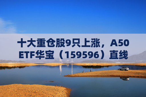 十大重仓股9只上涨，A50ETF华宝（159596）直线拉升，宁德时代涨近3%