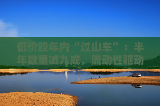 低价股年内“过山车”：半年数量减九成，流动性驱动个股狂飙