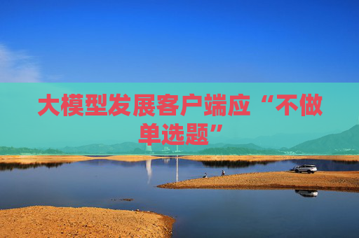 大模型发展客户端应“不做单选题”