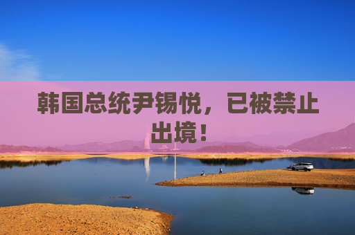 韩国总统尹锡悦，已被禁止出境！