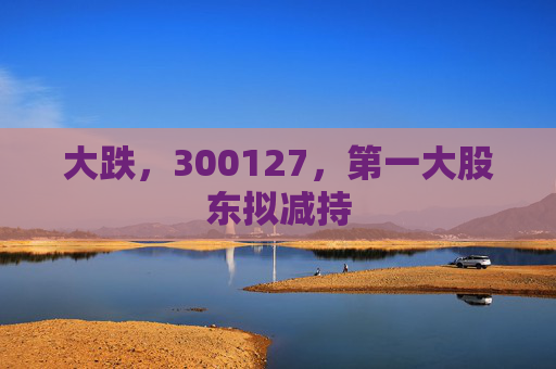 大跌，300127，第一大股东拟减持