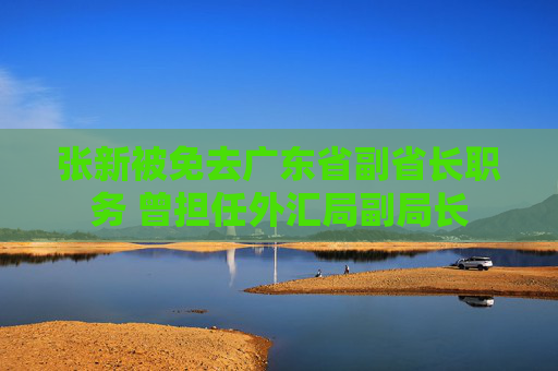 张新被免去广东省副省长职务 曾担任外汇局副局长