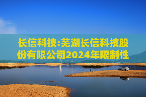 长信科技:芜湖长信科技股份有限公司2024年限制性股票激励计划实施考核管理办法