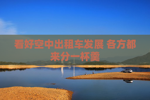 看好空中出租车发展 各方都来分一杯羹