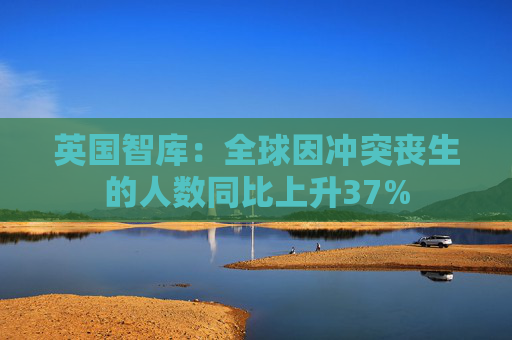 英国智库：全球因冲突丧生的人数同比上升37%