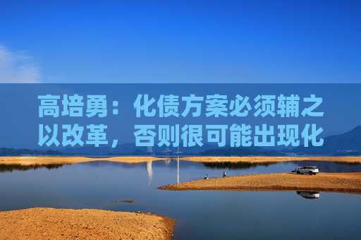 高培勇：化债方案必须辅之以改革，否则很可能出现化债之后的再化债