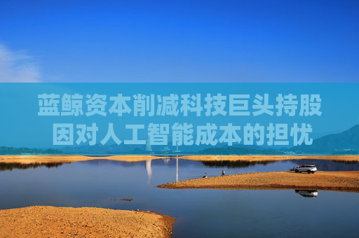 蓝鲸资本削减科技巨头持股 因对人工智能成本的担忧