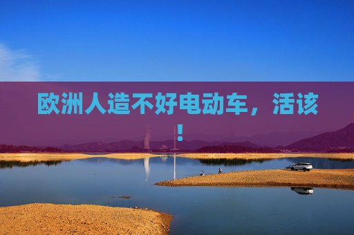 欧洲人造不好电动车，活该！
