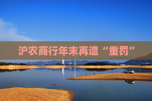 沪农商行年末再遭“重罚”