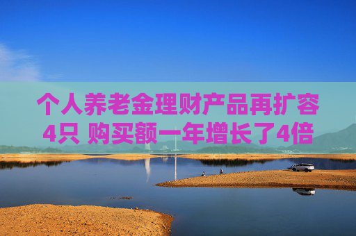 个人养老金理财产品再扩容4只 购买额一年增长了4倍