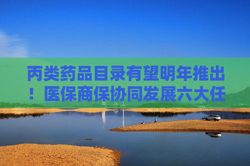 丙类药品目录有望明年推出！医保商保协同发展六大任务明确