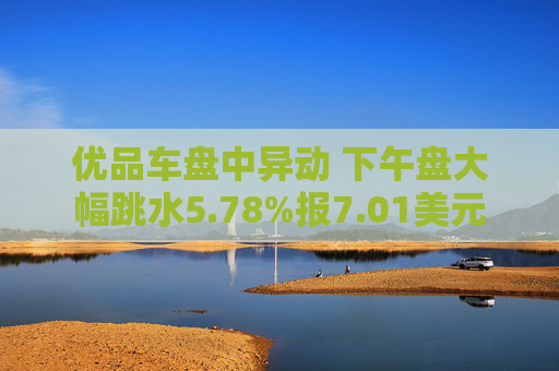 优品车盘中异动 下午盘大幅跳水5.78%报7.01美元