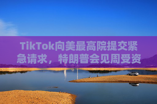 TikTok向美最高院提交紧急请求，特朗普会见周受资